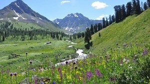 mountains, grass, sky, flowers - wallpaper, background, image